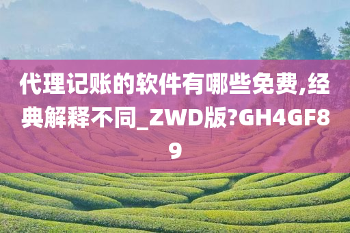 代理记账的软件有哪些免费,经典解释不同_ZWD版?GH4GF89