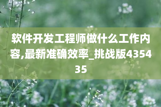 软件开发工程师做什么工作内容,最新准确效率_挑战版435435