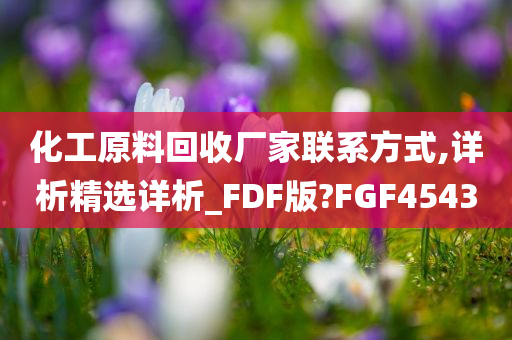 化工原料回收厂家联系方式,详析精选详析_FDF版?FGF4543