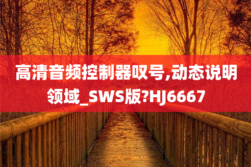 高清音频控制器叹号,动态说明领域_SWS版?HJ6667