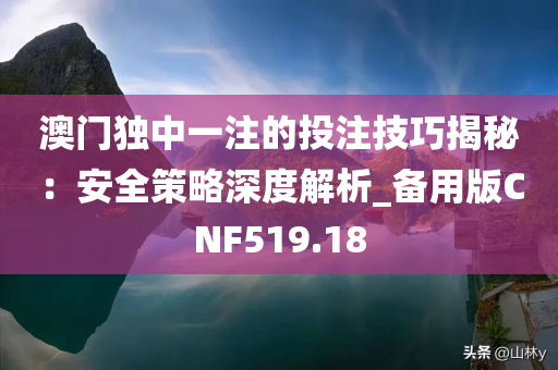 澳门独中一注的投注技巧揭秘：安全策略深度解析_备用版CNF519.18