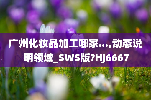 广州化妆品加工哪家...,动态说明领域_SWS版?HJ6667