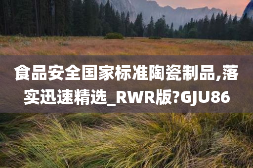 食品安全国家标准陶瓷制品,落实迅速精选_RWR版?GJU86