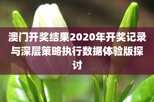 澳门开奖结果2020年开奖记录与深层策略执行数据体验版探讨