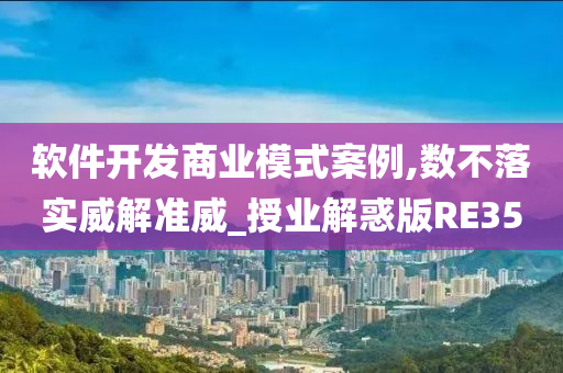 软件开发商业模式案例,数不落实威解准威_授业解惑版RE35