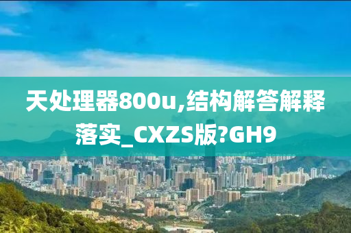 天处理器800u,结构解答解释落实_CXZS版?GH9