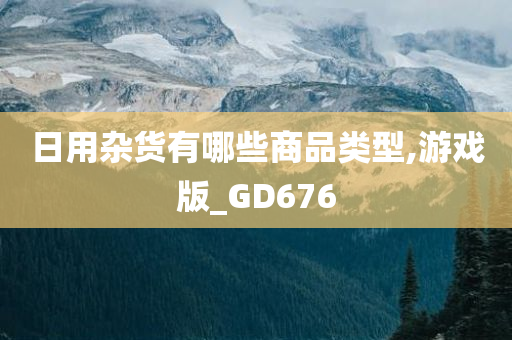 日用杂货有哪些商品类型,游戏版_GD676