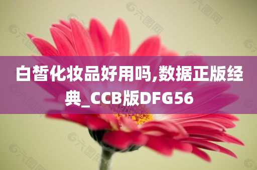 白皙化妆品好用吗,数据正版经典_CCB版DFG56