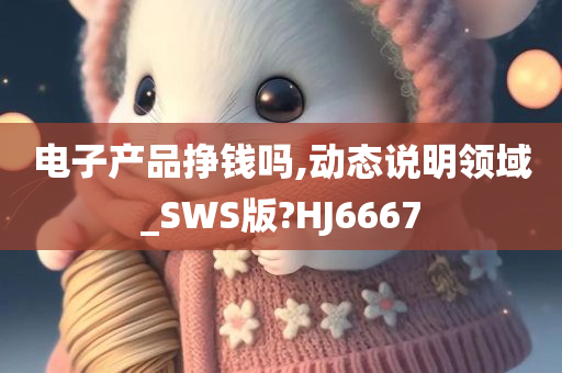 电子产品挣钱吗,动态说明领域_SWS版?HJ6667