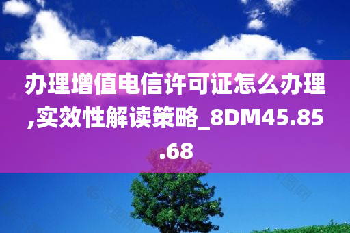 办理增值电信许可证怎么办理,实效性解读策略_8DM45.85.68