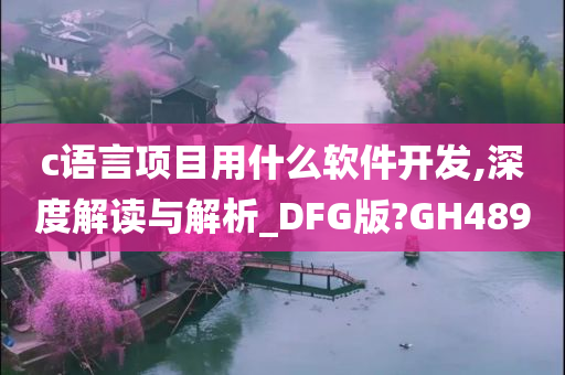 c语言项目用什么软件开发,深度解读与解析_DFG版?GH489