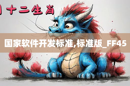 国家软件开发标准,标准版_FF45