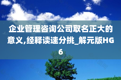 企业管理咨询公司取名正大的意义,经释读速分挑_解元版HG6