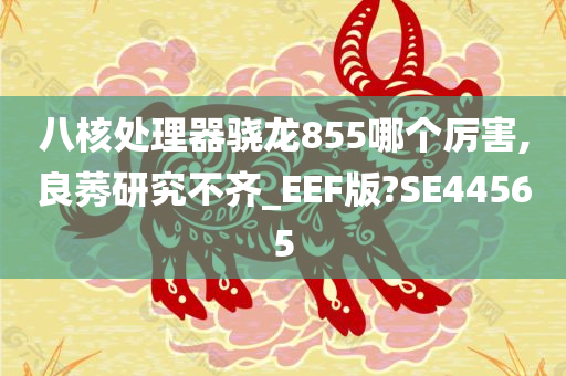 八核处理器骁龙855哪个厉害,良莠研究不齐_EEF版?SE44565