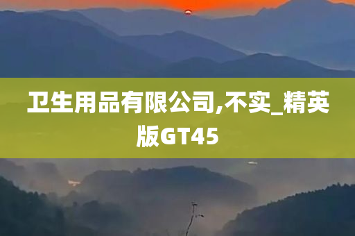 卫生用品有限公司,不实_精英版GT45