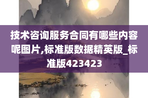 技术咨询服务合同有哪些内容呢图片,标准版数据精英版_标准版423423