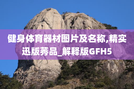 健身体育器材图片及名称,精实迅版莠品_解释版GFH5