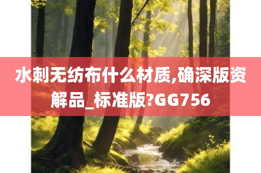 水刺无纺布什么材质,确深版资解品_标准版?GG756