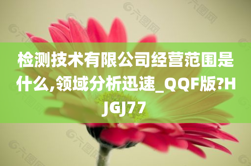 检测技术有限公司经营范围是什么,领域分析迅速_QQF版?HJGJ77