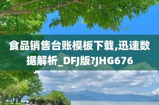 食品销售台账模板下载,迅速数据解析_DFJ版?JHG676