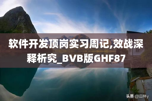 软件开发顶岗实习周记,效战深释析究_BVB版GHF87