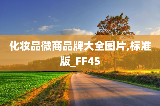 化妆品微商品牌大全图片,标准版_FF45