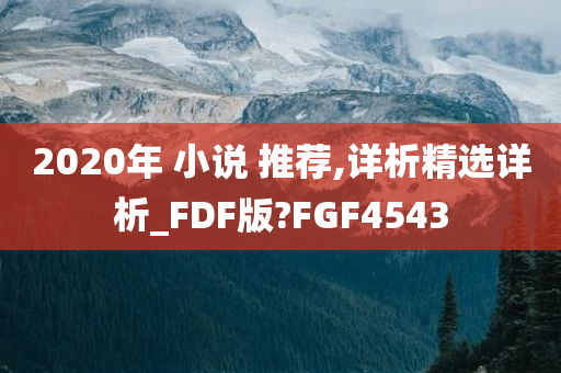 2020年 小说 推荐,详析精选详析_FDF版?FGF4543