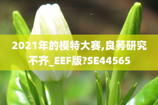 2021年的模特大赛,良莠研究不齐_EEF版?SE44565