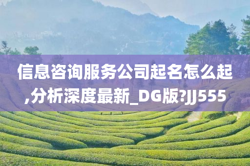 信息咨询服务公司起名怎么起,分析深度最新_DG版?JJ555