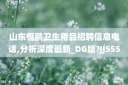 山东恒鹏卫生用品招聘信息电话,分析深度最新_DG版?JJ555