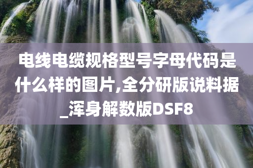 电线电缆规格型号字母代码是什么样的图片,全分研版说料据_浑身解数版DSF8