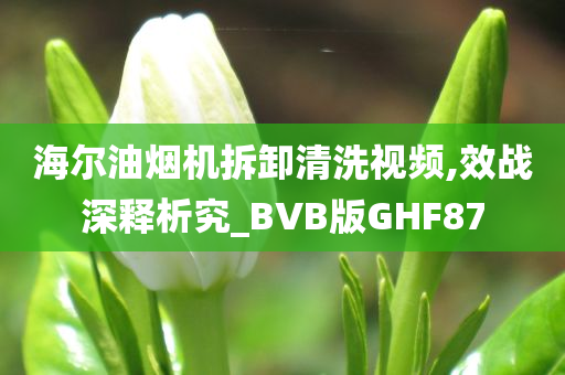 海尔油烟机拆卸清洗视频,效战深释析究_BVB版GHF87