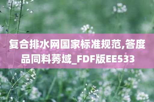 复合排水网国家标准规范,答度品同料莠域_FDF版EE533