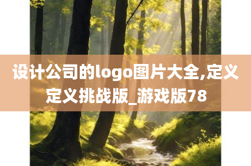 设计公司的logo图片大全,定义定义挑战版_游戏版78