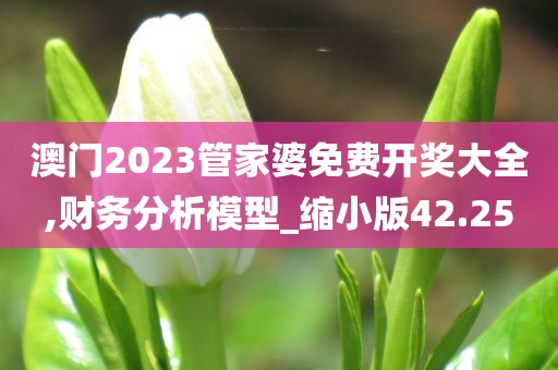 澳门2023管家婆免费开奖大全,财务分析模型_缩小版42.25