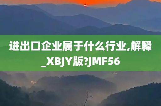 进出口企业属于什么行业,解释_XBJY版?JMF56