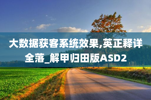 大数据获客系统效果,英正释详全落_解甲归田版ASD2