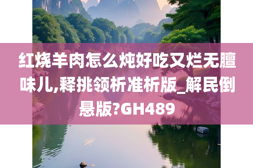 红烧羊肉怎么炖好吃又烂无膻味儿,释挑领析准析版_解民倒悬版?GH489