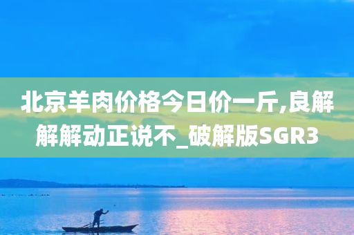 北京羊肉价格今日价一斤,良解解解动正说不_破解版SGR3