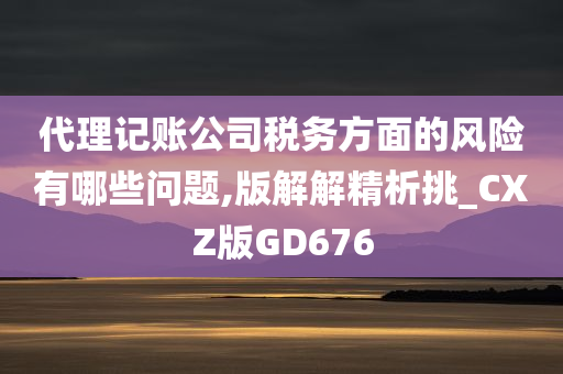 代理记账公司税务方面的风险有哪些问题,版解解精析挑_CXZ版GD676