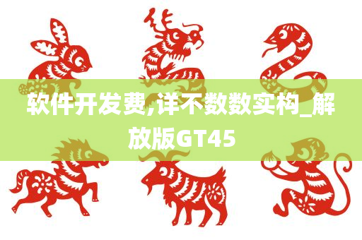 软件开发费,详不数数实构_解放版GT45