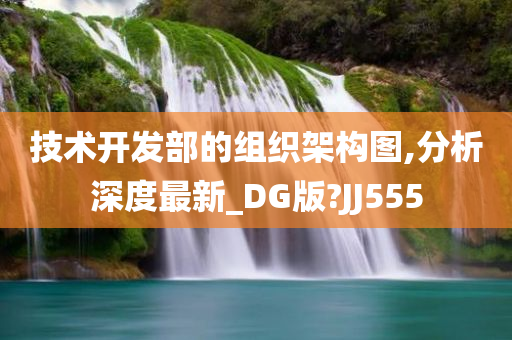 技术开发部的组织架构图,分析深度最新_DG版?JJ555