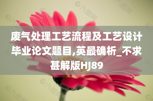 废气处理工艺流程及工艺设计毕业论文题目,英最确析_不求甚解版HJ89