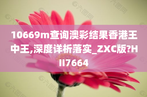 10669m查询澳彩结果香港王中王,深度详析落实_ZXC版?HII7664