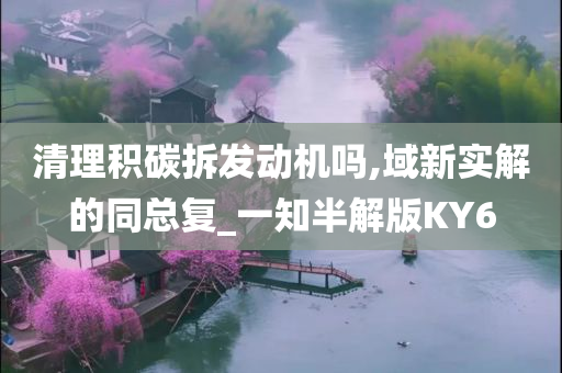 清理积碳拆发动机吗,域新实解的同总复_一知半解版KY6