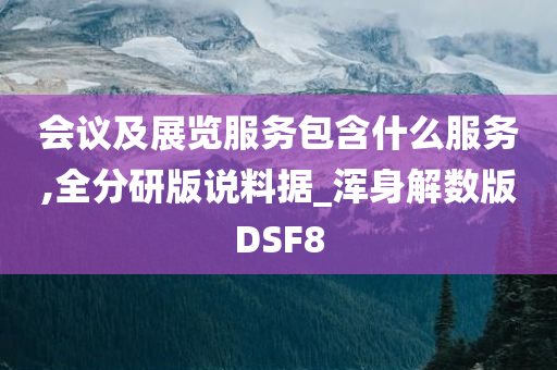 会议及展览服务包含什么服务,全分研版说料据_浑身解数版DSF8