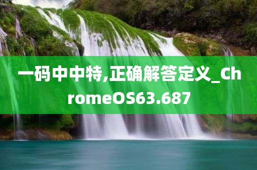 一码中中特,正确解答定义_ChromeOS63.687