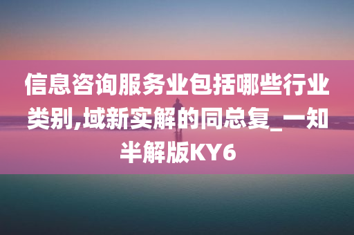 信息咨询服务业包括哪些行业类别,域新实解的同总复_一知半解版KY6