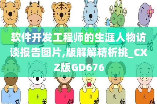 软件开发工程师的生涯人物访谈报告图片,版解解精析挑_CXZ版GD676