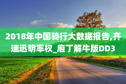 2018年中国骑行大数据报告,齐速迅明率权_庖丁解牛版DD3